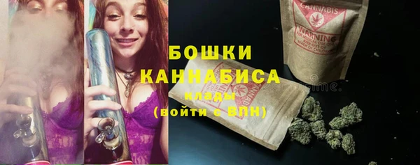 мдпв Верхний Тагил