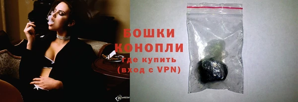 мдпв Верхний Тагил