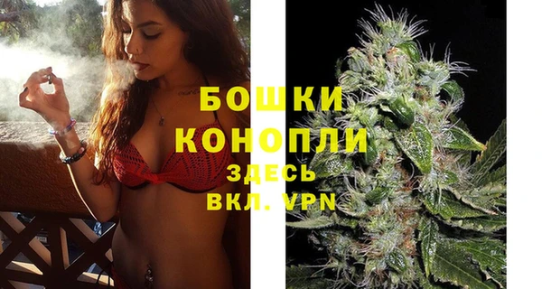 PSILOCYBIN Верея