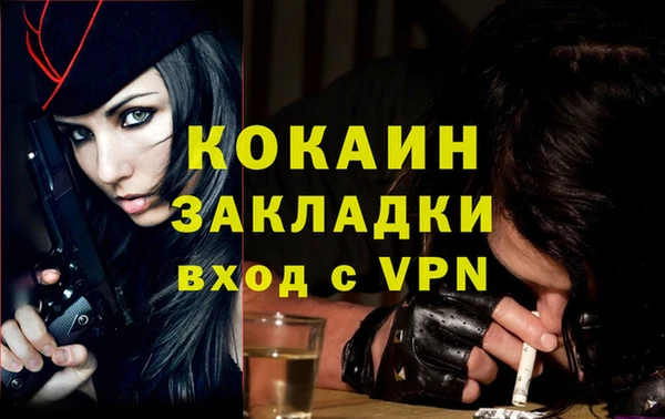 PSILOCYBIN Верея