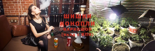 PSILOCYBIN Верея