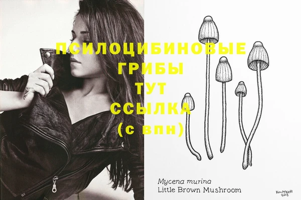 мдпв Верхний Тагил