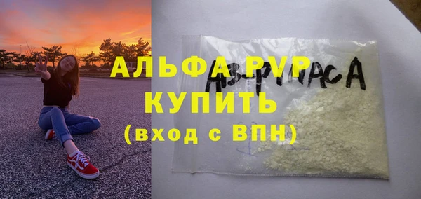 PSILOCYBIN Верея