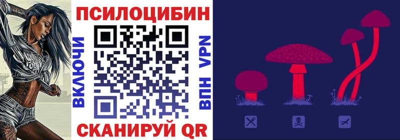 кракен ссылки  Мончегорск  Галлюциногенные грибы Psilocybe 
